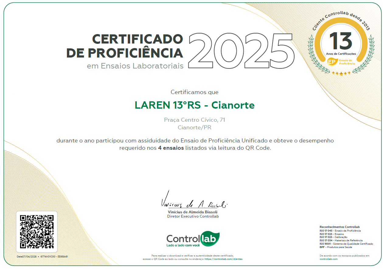 controllab 13 rs 2025