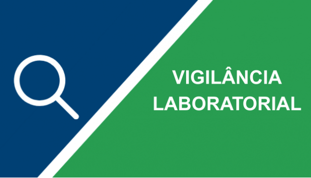 Viglab